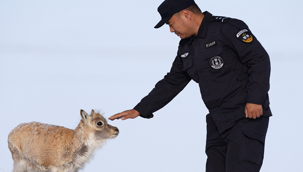 共建地球生命共同体丨世界地球日：可可西里有我守护