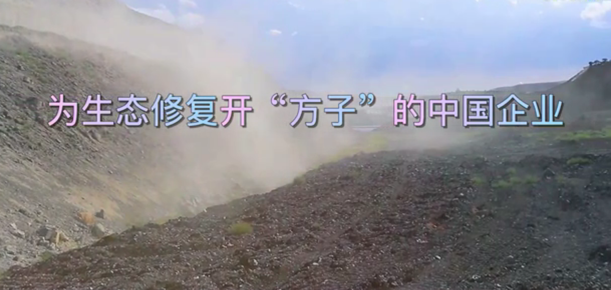 全球连线｜为地球生态修复开&ldquo;方子&rdquo;的中国企业