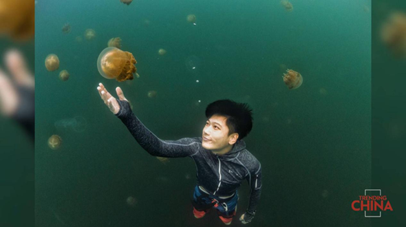 趋势中国（九）: 像海洋生物一样潜游