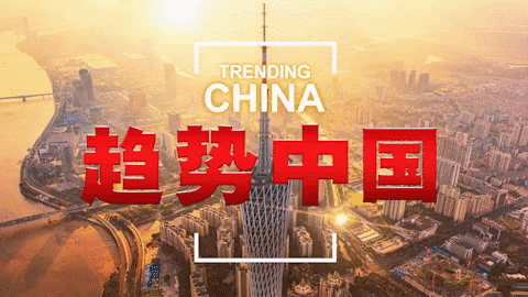 全球连线|趋势中国（三十一）：感谢中国给我成功创业的机会
