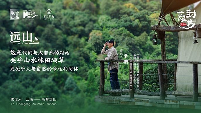 给山水林田湖草的《一封家书》之远山篇