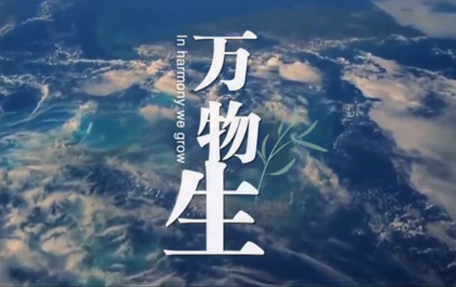 全球连线|重磅微视频：万物生
