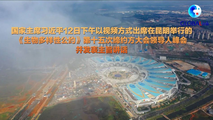 携手共建 共享文明&mdash;&mdash;COP15与会代表热议习近平重要讲话