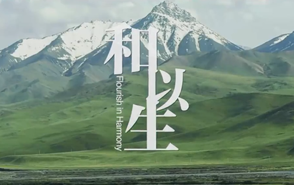 全球连线丨重磅微视频：和以生