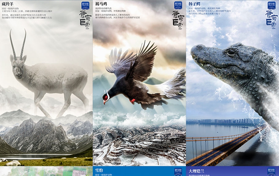 问记者丨这几张电影级海报火了，原来是这么设计的&hellip;&hellip;