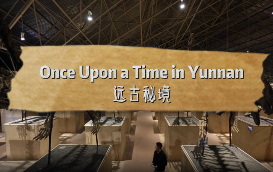 全球连线｜寻找生物多样性的奥秘&middot;远古秘境