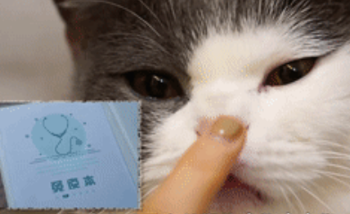 带萌宠坐火车?你需要知道这些事!