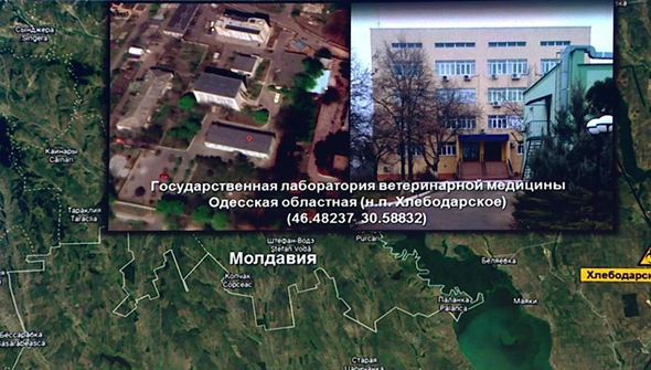 俄军方说美在乌境内开展了生物军事项目