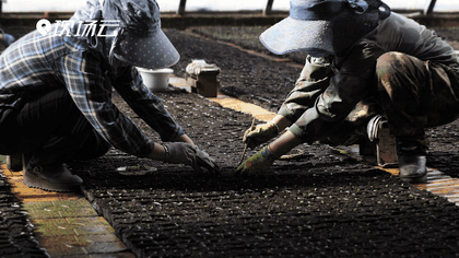 万象“耕”新!码住人间四月天