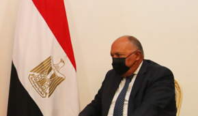 埃及外长说阿盟国家准备成为俄乌谈判的调解人