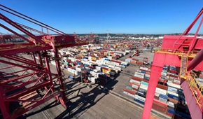 专访：金砖合作为全球发展作出重要贡献&mdash;&mdash;访柬埔寨皇家科学院国际关系研究所所长金平