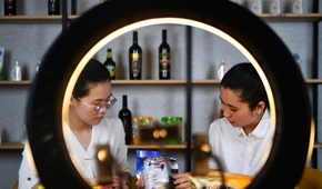 专访：金砖机制凝聚发展中国家合力&mdash;&mdash;访新加坡国立大学学者顾清扬