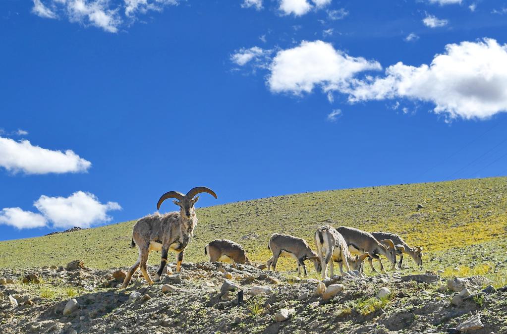 镜观中国&middot;新华社国内新闻照片一周精选