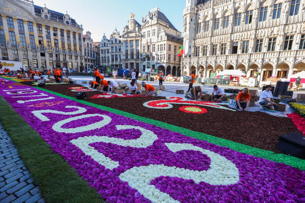 比利时布鲁塞尔：铺装“鲜花地毯”