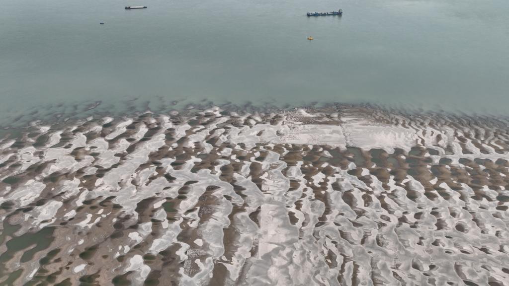 水位持续下降 长江九江段露出大片滩涂