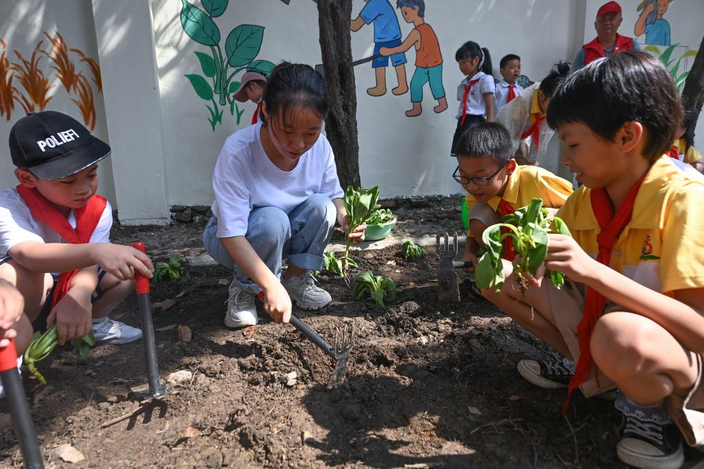 浙江湖州：劳动实践教育开启&ldquo;开学第一课&rdquo;