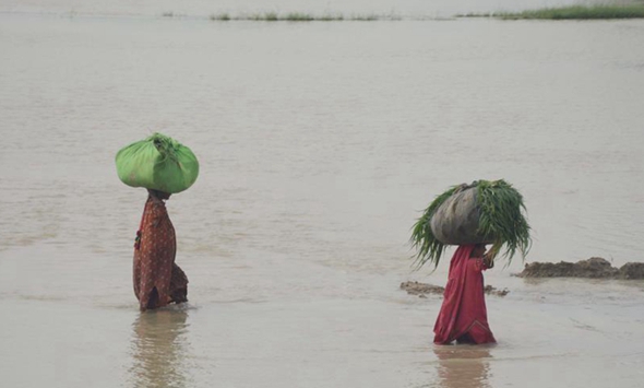 强降雨已致巴基斯坦千余人死亡