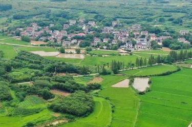 喜迎二十大丨以奋进新征程的状态和苦干实干的行动，迎接党的二十大胜利召开&mdash;&mdash;江苏：奋力迈上新台阶