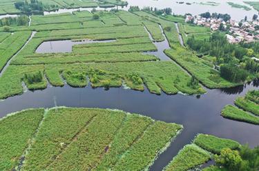 镜头里的十年&middot;奔向美好丨雄安，&ldquo;未来之城&rdquo;拔节生长