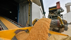 新华全媒+丨大数据监控 内环流控温&mdash;&mdash;科学储粮守好&ldquo;大国粮仓&rdquo;