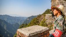 “守山人”张廷刚:以林为伴见证金佛山蝶变