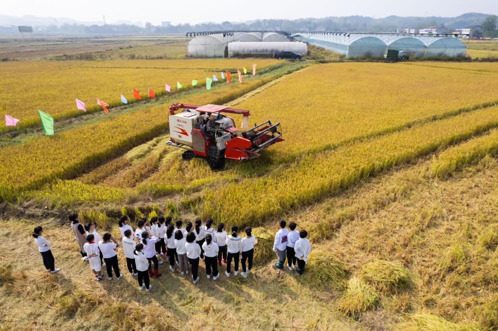 新华全媒＋丨&ldquo;田间课堂&rdquo;学农事