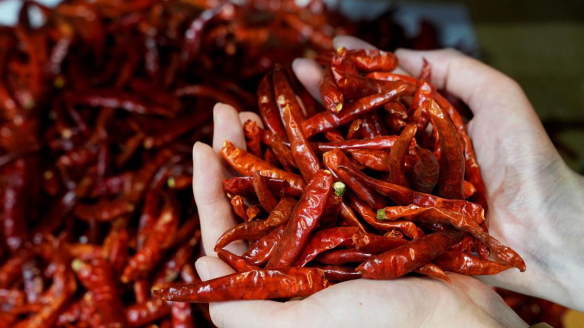 进博会上的“非洲味道”