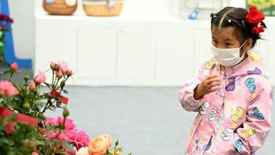 安徽合肥：&ldquo;苗交会&rdquo;引客来