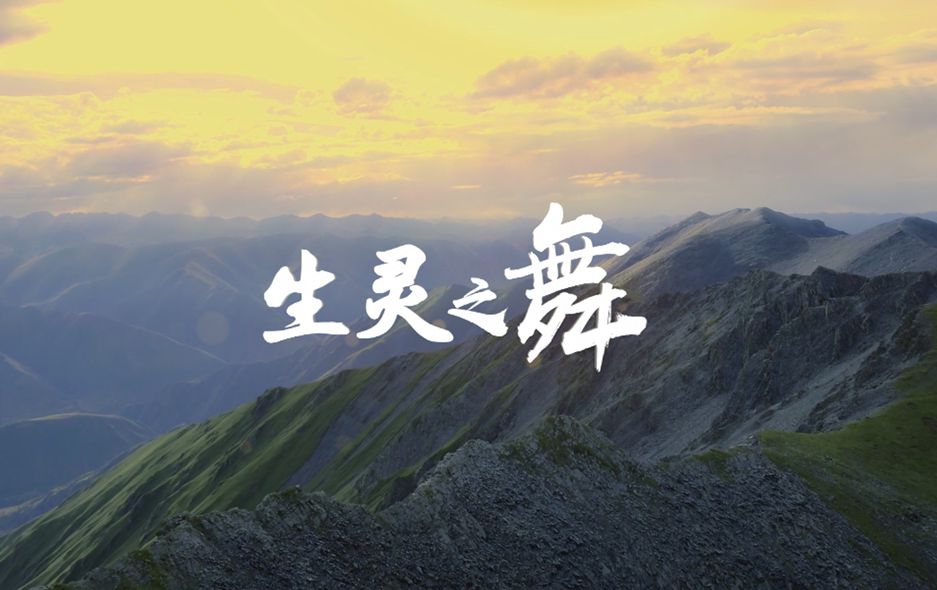 微视频|生灵之舞