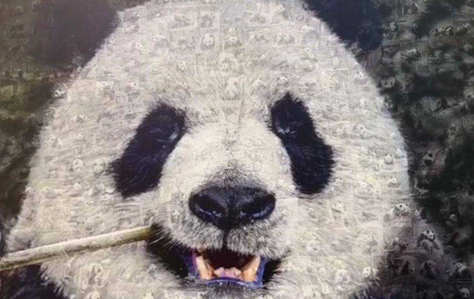 全球连线｜在COP15 感受&ldquo;滚滚&rdquo;而来的中国魅力