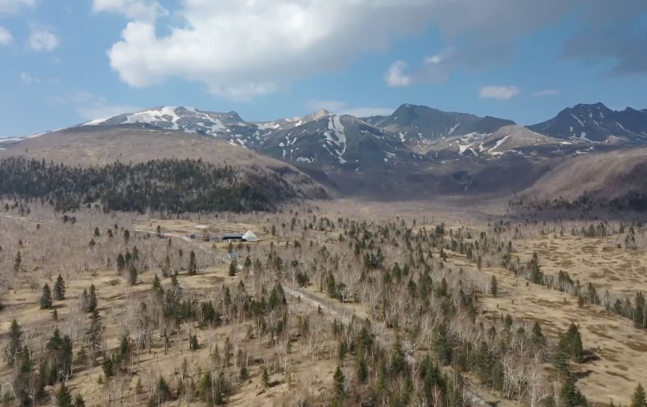 全球连线丨（聚焦COP15）长白山国家级自然保护区生态保护成效显著