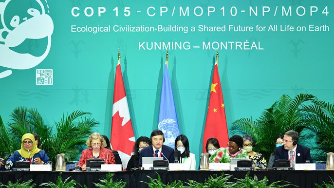 《生物多样性公约》第十五次缔约方大会第二阶段高级别会议开幕