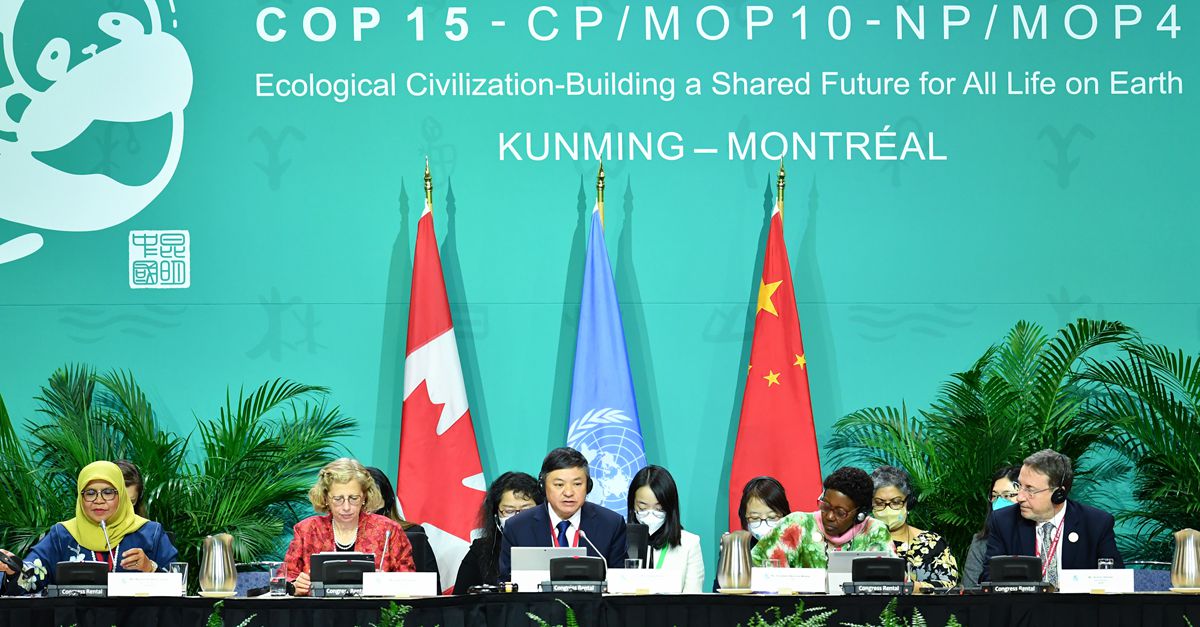 《生物多样性公约》第十五次缔约方大会第二阶段高级别会议开幕
