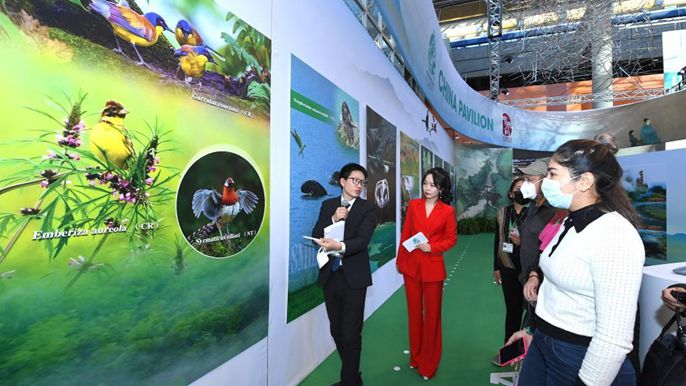 COP15中国角举行宣传日活动