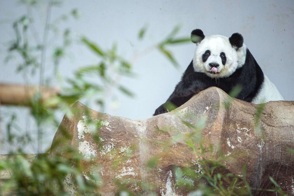 国际&middot;一周看天下