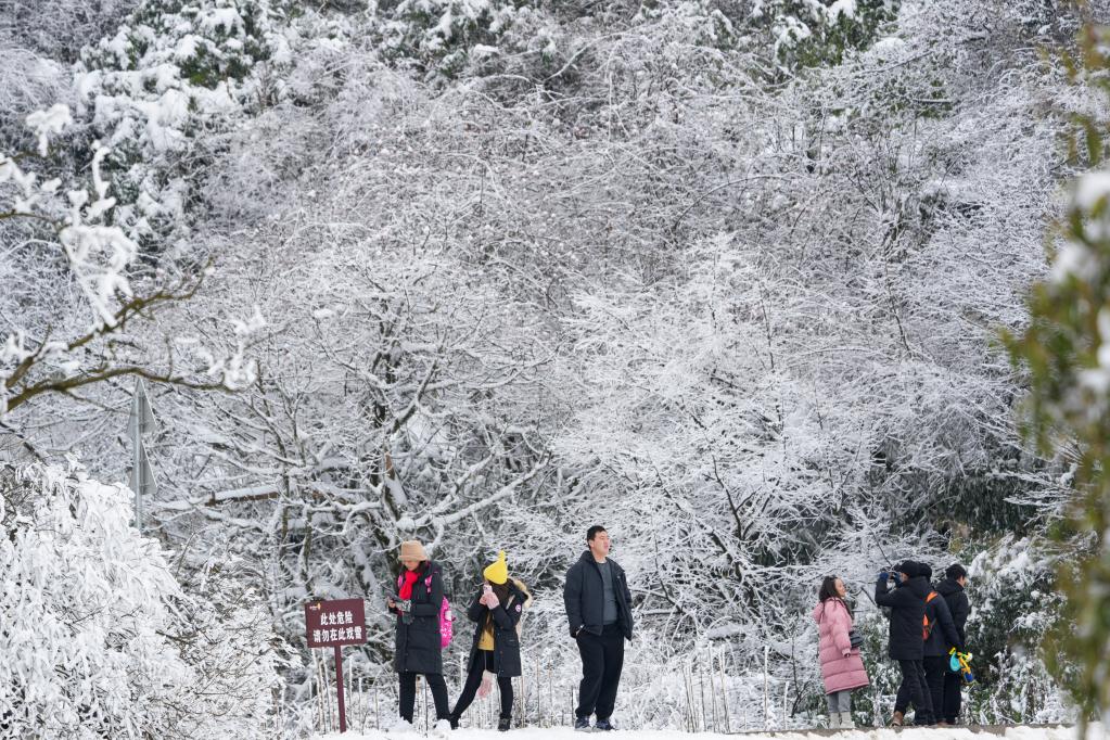 重庆：冰雪经济催动金佛山冬季旅游实现“开门红”