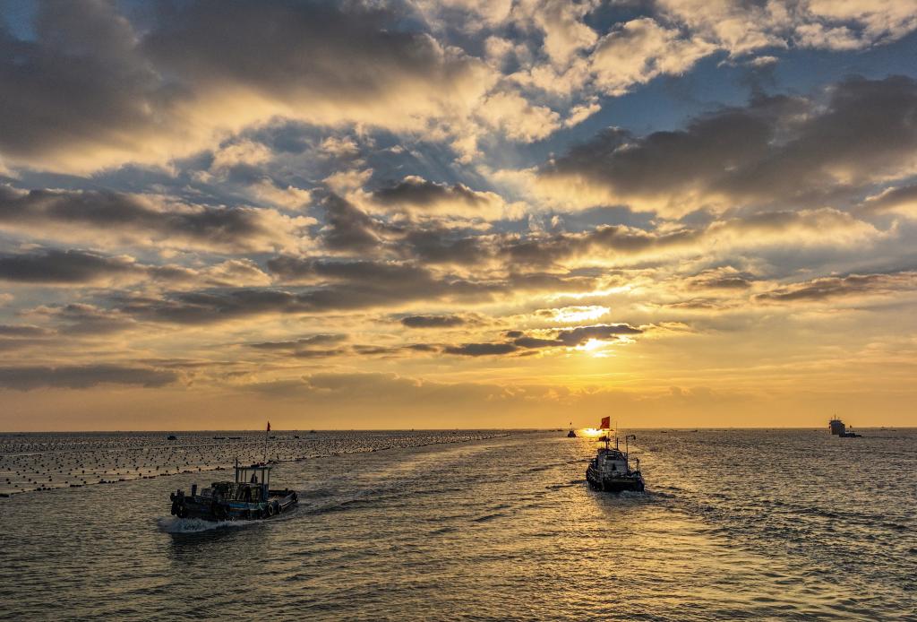 山东荣成：海上&ldquo;冬耕&rdquo;忙