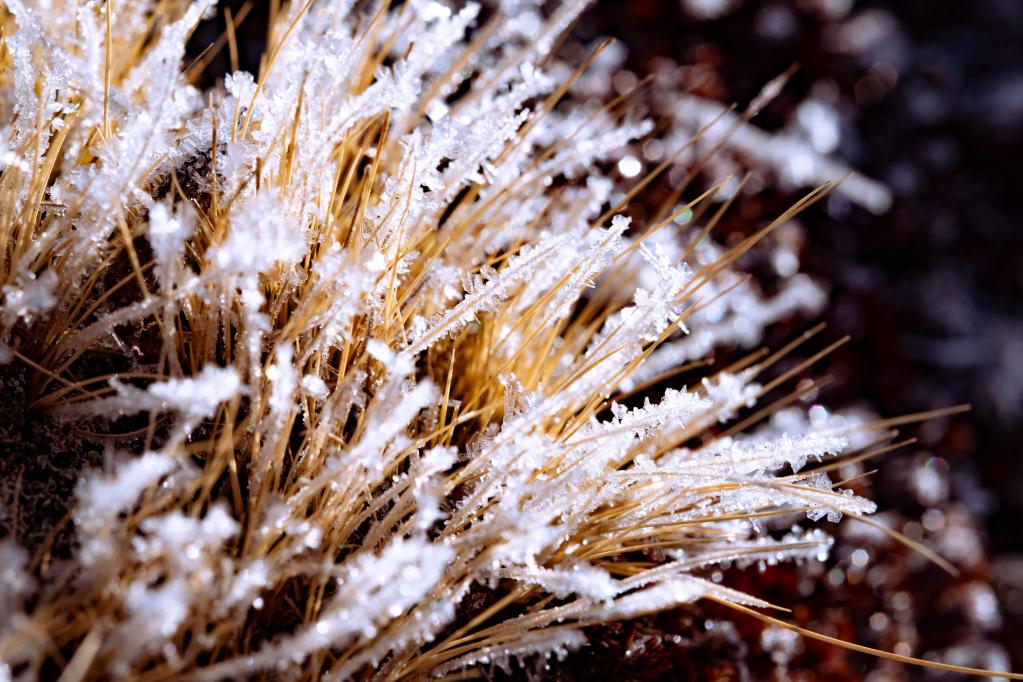 新华全媒+丨微视界&mdash;&mdash;小寒