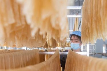 湖南江华：手工腐竹加工忙