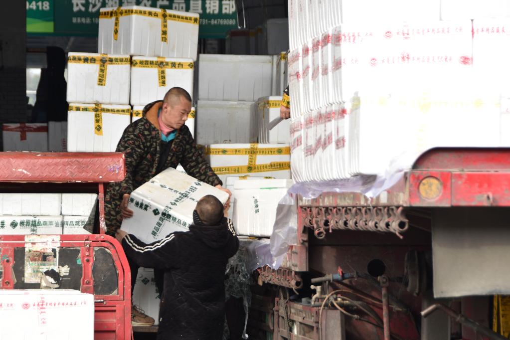 千里调蔬菜 全力保供应&mdash;&mdash;湖南最大&ldquo;菜篮子&rdquo;一线见闻