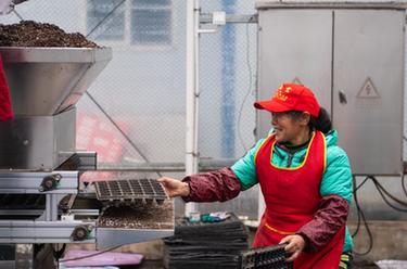 新华全媒＋丨田间地头的&ldquo;黑科技&rdquo;