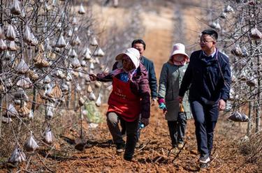 代表委员履职故事｜全国人大代表袁海波：&ldquo;我是农民工，更懂农民工&rdquo;