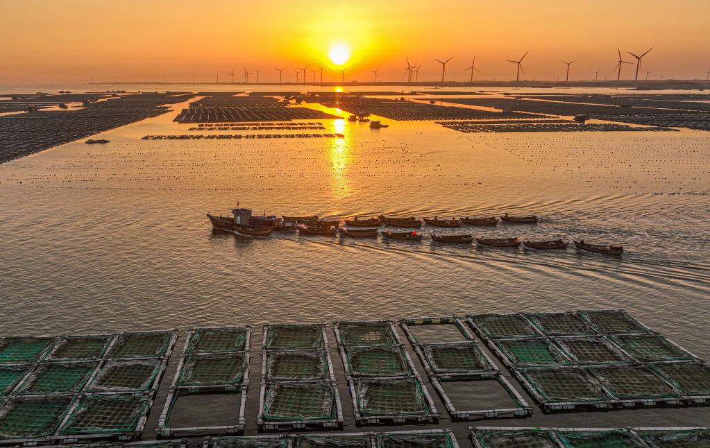 山东荣成：&ldquo;海上田园&rdquo;春耕忙