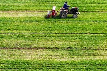 春暖农事忙&nbsp;