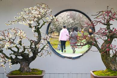 镜观中国&middot;新华社国内新闻照片一周精选