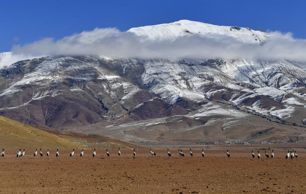 镜观中国&middot;新华社国内新闻照片一周精选