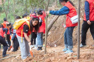 重庆：灭火志愿者为缙云山&ldquo;添绿&rdquo;