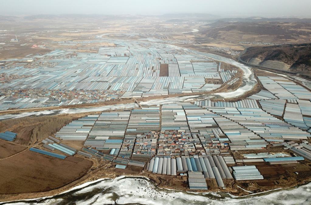 新华全媒+｜黑龙江：棚室经济&ldquo;春意盎然&rdquo;