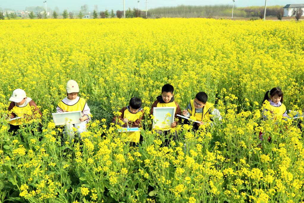 河南汝阳：铁顶山下花芬芳