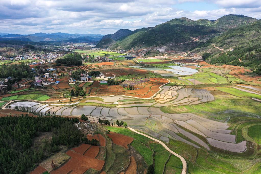 新华全媒+丨一个国家级杂交水稻制种大县的“种业振兴”之路